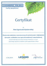 certyfikat-chemspec-polska-2019-m